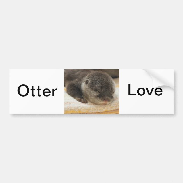 Autocollant De Voiture Otter endormi (Devant)