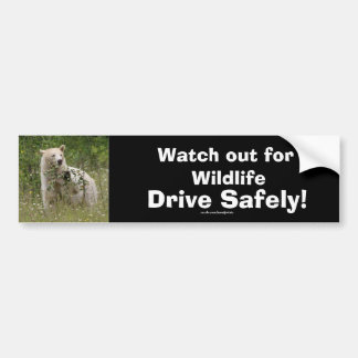 Autocollant De Voiture Ours de la faune Amoureux des animaux Design