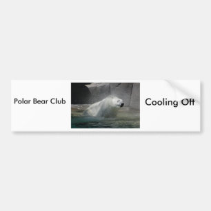 Autocollant De Voiture Ours polaires