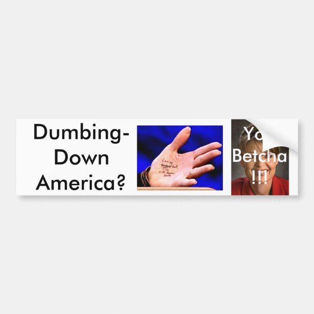 Autocollant De Voiture Palin3 (Devant)