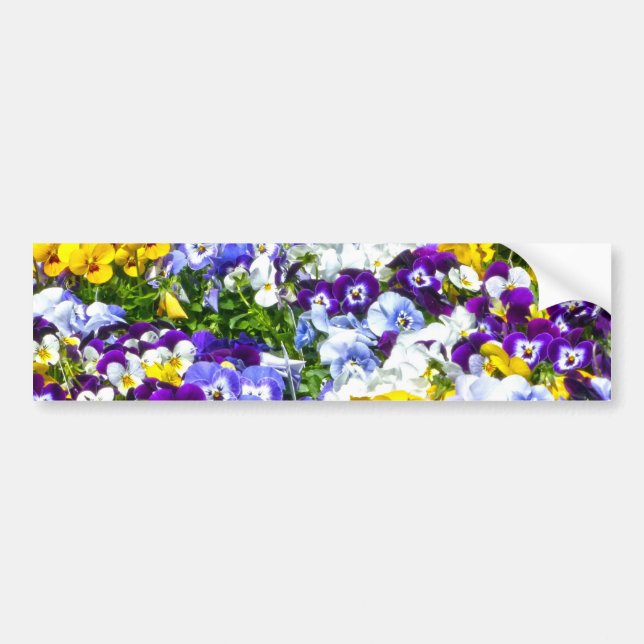 Autocollant De Voiture Pansies (Devant)