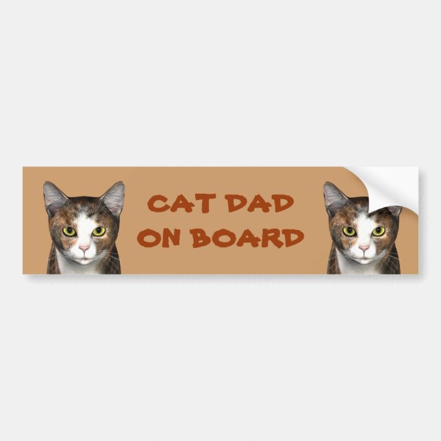 Autocollant De Voiture Papa Chat À Bord (Devant)