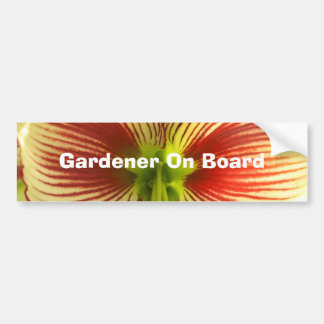 Autocollant De Voiture Papillon Amaryllis