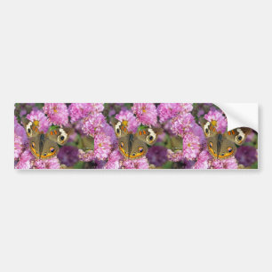Autocollant De Voiture Papillon commun