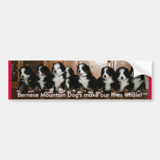 Autocollant De Voiture PARE-CHOCS de chiot de Berner.