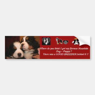 Autocollant De Voiture PARE-CHOCS de chiot de Berner