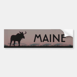 Autocollant De Voiture pare-chocs de silouette d'orignaux, MAINE