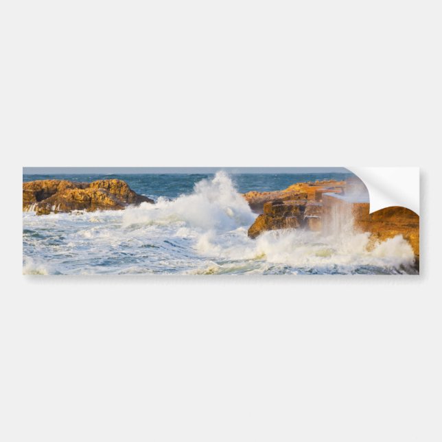 Autocollant De Voiture Paysage marin (Devant)