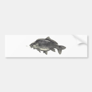 Autocollant De Voiture Pêche de carpe