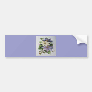 Autocollant De Voiture Peinture acrylique de la vigne Lilac Clematis