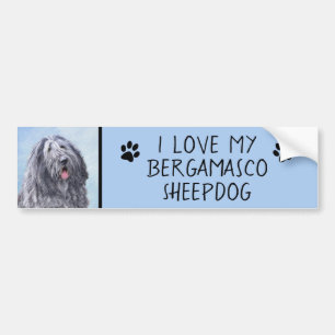 Autocollant De Voiture Peinture Bergamasco Sheepdog - Chien original mign