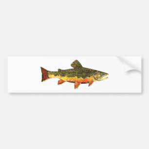 Autocollant De Voiture Peinture de poisson à l'omble de fontaine