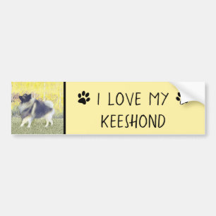 Autocollant De Voiture Peinture en teint de Keeshond - jolie art original