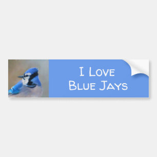 Autocollant De Voiture Peinture Jay Bleu - Art Oiseau Original