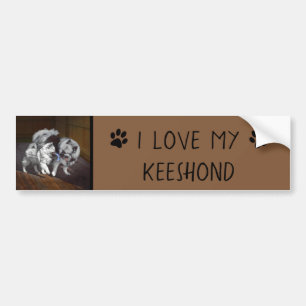 Autocollant De Voiture Peinture Keeshond Playtime - Jolie art original ch
