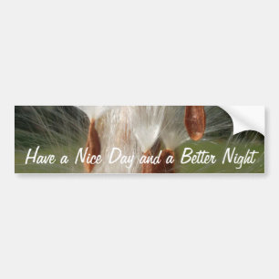 Autocollant De Voiture Personnaliser