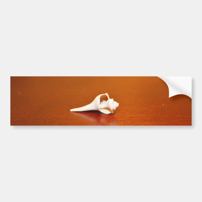 Autocollant De Voiture Petite coque (Devant)