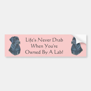Autocollant De Voiture photo black labrador dog avec slogan amusant