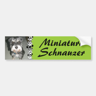 Autocollant De Voiture Photo de Schnauzer miniature