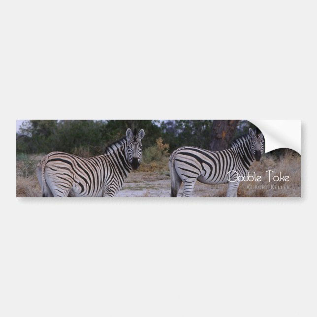 Autocollant De Voiture Photo Zebra Double Take (Devant)