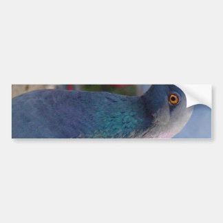 Autocollant De Voiture Pigeon