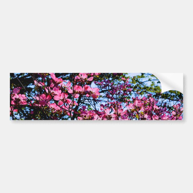 Autocollant De Voiture Pink flowering Dogwood tree (Devant)