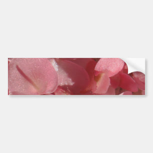 Autocollant De Voiture Pink geranium: almost solid Light pink