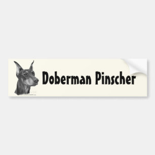 Autocollant De Voiture Pinscher de dobermann