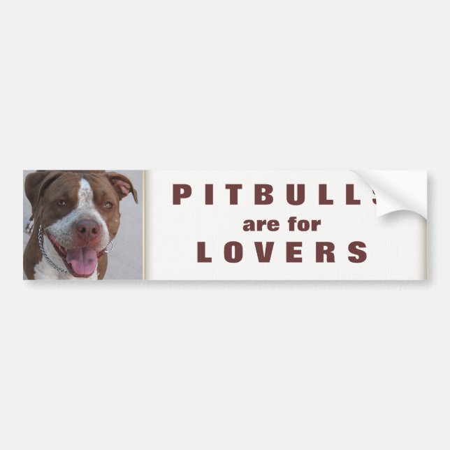 Autocollant De Voiture Pitbull joue avec moi (Devant)
