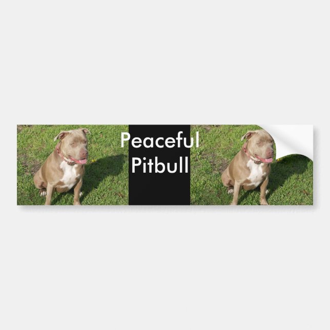 Autocollant De Voiture Pitbull paisible (Devant)