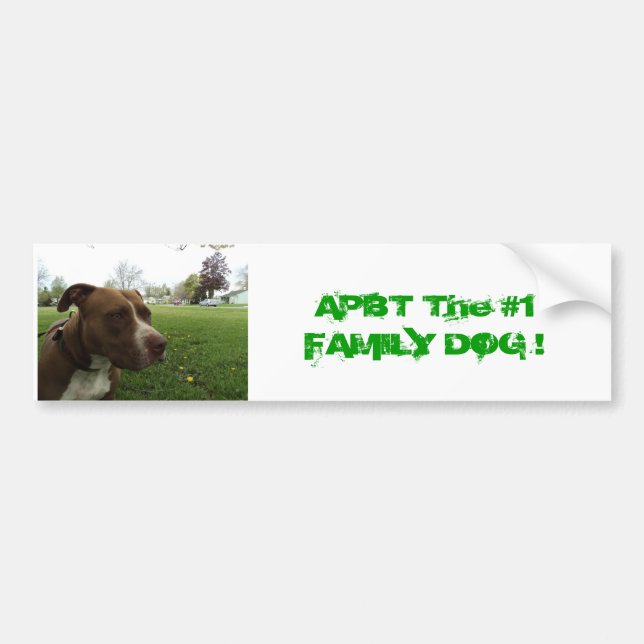 Autocollant De Voiture Pitbull Terrier américain (Devant)