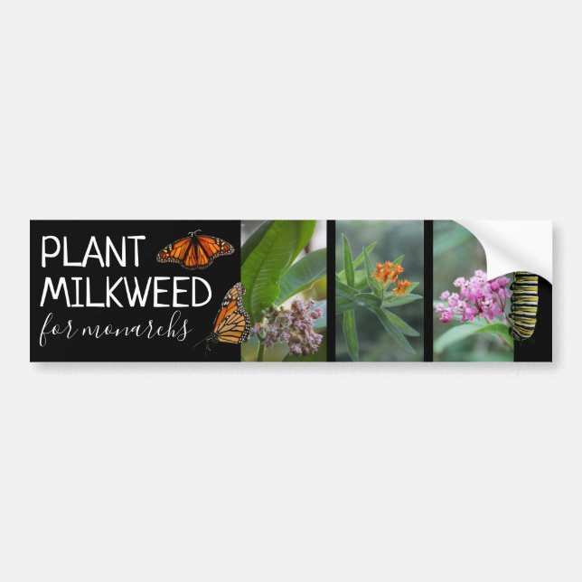 Autocollant De Voiture Plante Milkweed Pour Les Monarques Photos Personna (Devant)