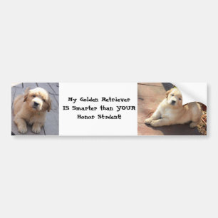 Autocollant De Voiture plus futé qu'un étudiant d'honneur