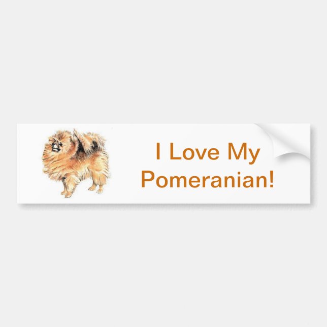 Autocollant De Voiture Pomeranian (Devant)