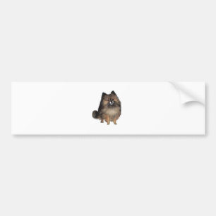 Autocollant De Voiture Pomeranian - bringé