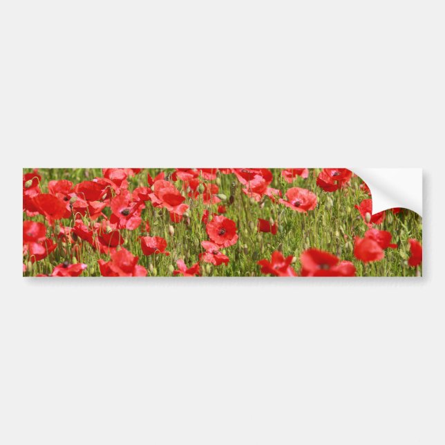 Autocollant De Voiture Poppy field (Devant)