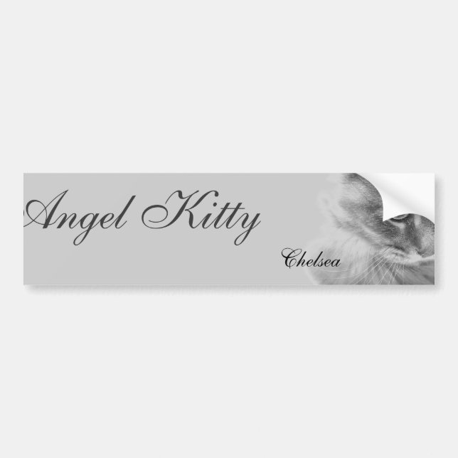 Autocollant De Voiture Portrait "Angel Kitty" (Devant)