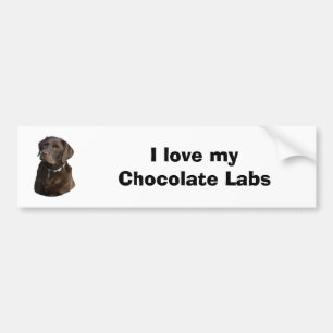 Autocollant De Voiture Portrait de photo de chien de Labrador de chocolat