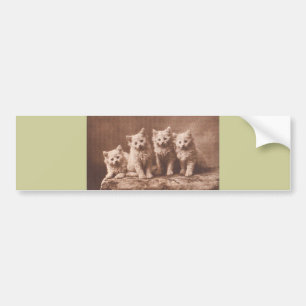 Autocollant De Voiture Portrait vintage de chaton d'Aristocrats* de *The