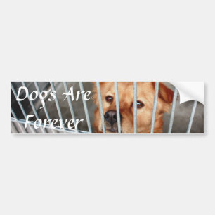 Autocollant De Voiture Pour toujours