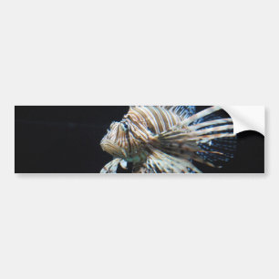 Autocollant De Voiture Produit de personnaliser