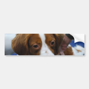 Autocollant De Voiture Produit de personnaliser