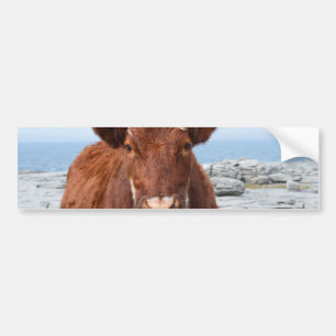 Autocollant De Voiture Produit de personnaliser