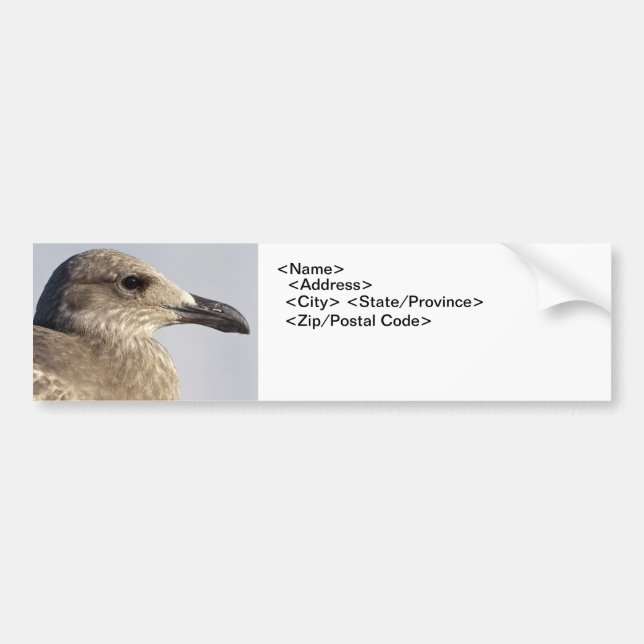 Autocollant De Voiture Profil Seagull (Devant)