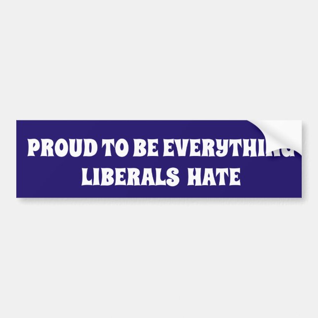 AUTOCOLLANT DE VOITURE PROUD TO BE EVERYTHING LIBERALS HATE POLITICAL (Devant)