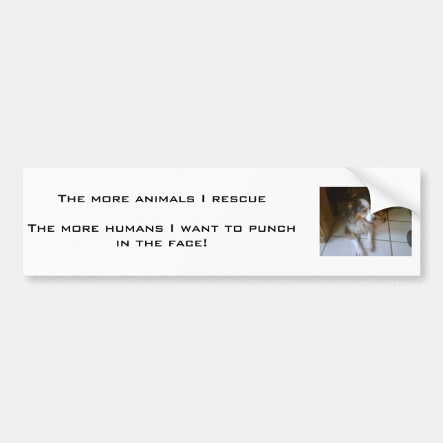 AUTOCOLLANT DE VOITURE PUANTEUR DE PERSONNES… (Devant)