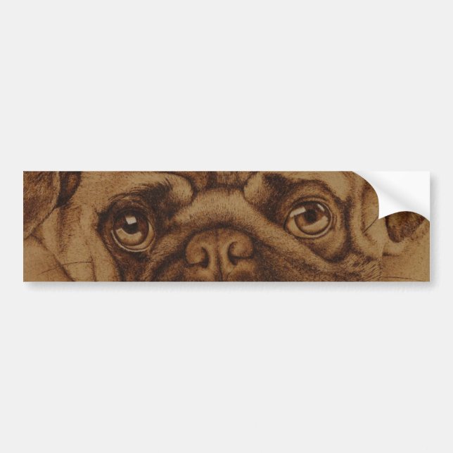 Autocollant De Voiture Pug décalcomanie de parachoque (Devant)