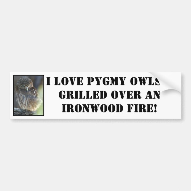 Autocollant De Voiture pygmée-hibou, j'aime les hiboux pygméens… grillés (Devant)
