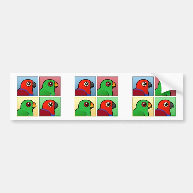 Autocollant De Voiture Quatre couleur Eclectus (Devant)
