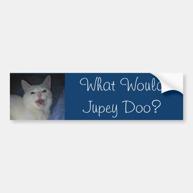 Autocollant De Voiture Que Jupey Doo ? #2 (Devant)